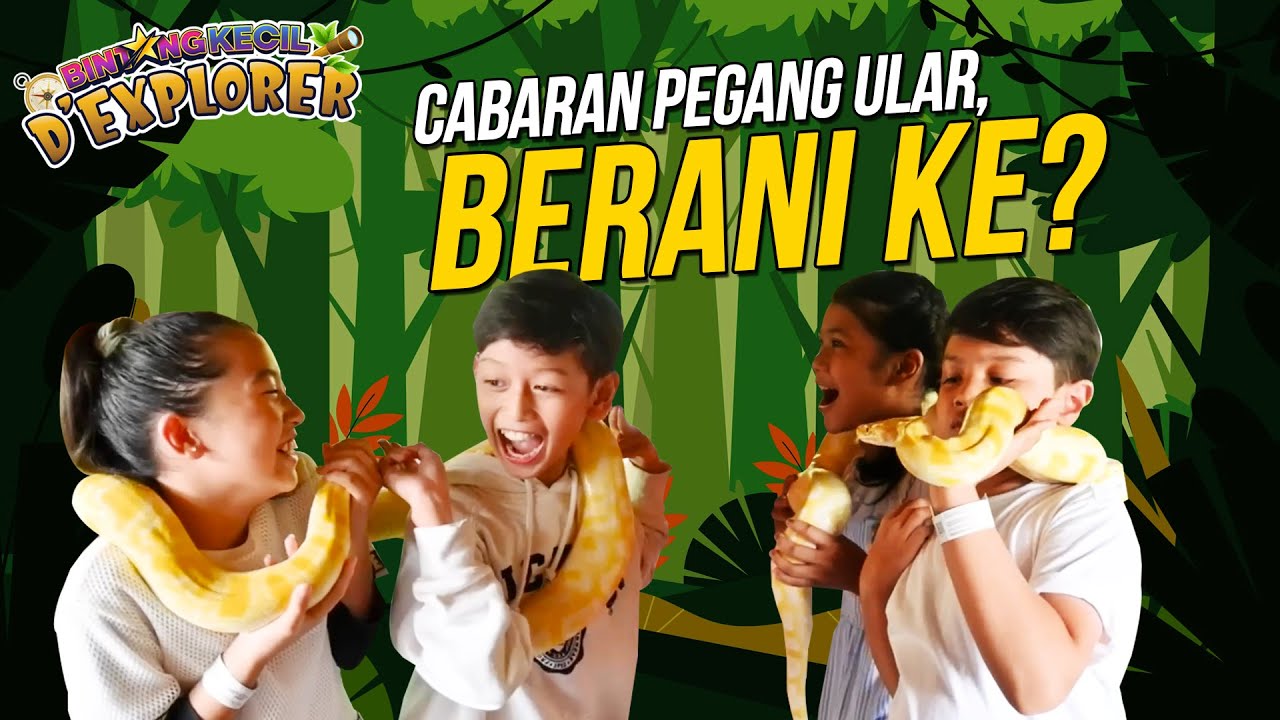 Cabaran PEGANG ULAR!? Berani Ke? | BK D'Explorer EP 2 | BINTANG KECIL