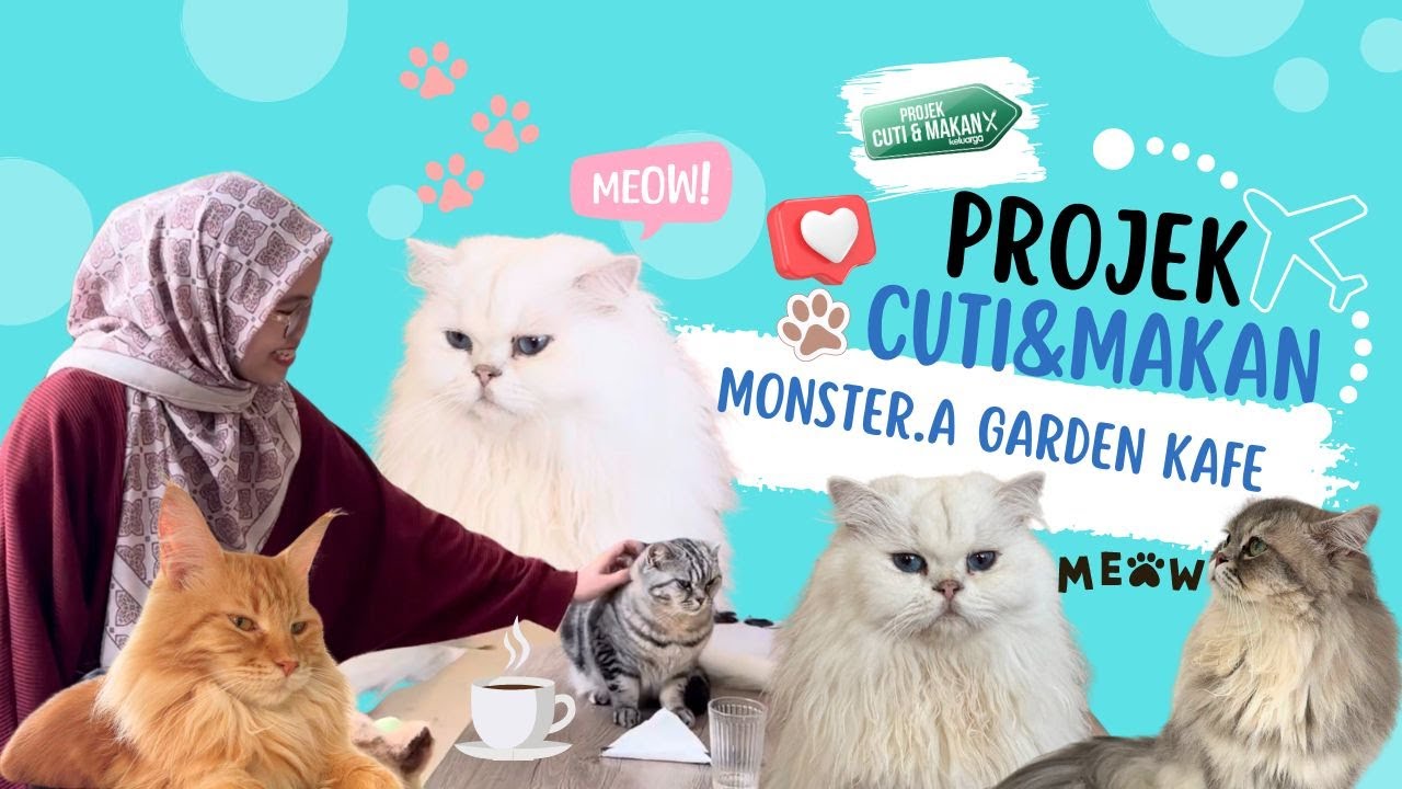 Comelnya! Makan Sambil Layan 30 Kucing Gebu Gebas, Jom Cafe Tour!