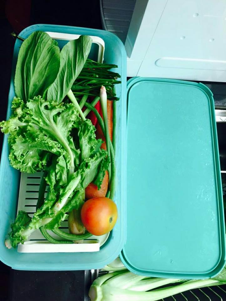 Sayur Kekal Segar Hingga 2 Minggu, Ibu-ibu Boleh Cuba Cara 