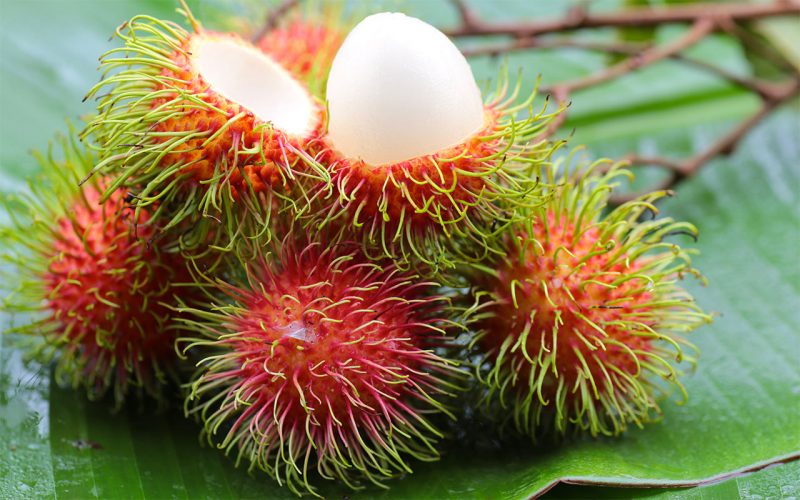 Takut Batuk Makan Buah Rambutan, Ini Cara Terbaik 