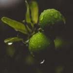 geronimo-giqueaux-dCSGQarpkQ8-unsplash